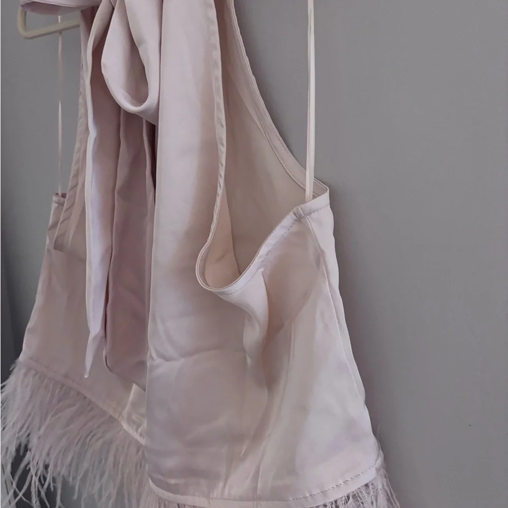 Strut & Bolt | Blush Pink Halter Top with Feather Detail - Picture 11 of 12